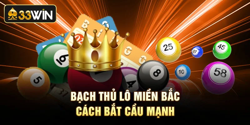 Bạch thủ lô miền bắc cách bắt cầu mạnh