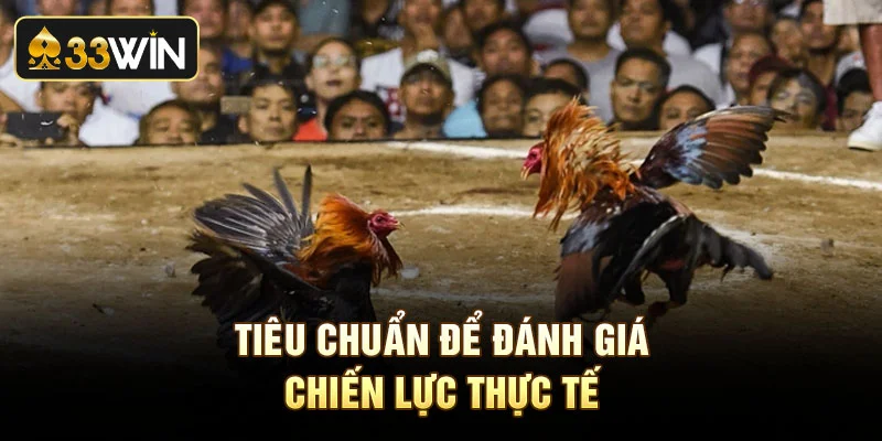 Tiêu chuẩn để đánh giá chiến lực thực tế