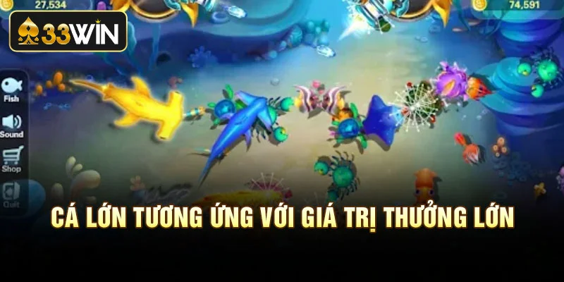 Cá lớn tương ứng với giá trị thưởng lớn