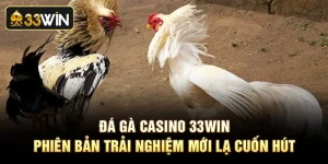 Đá Gà Casino 33Win - Phiên Bản Trải Nghiệm Mới Lạ Cuốn Hút