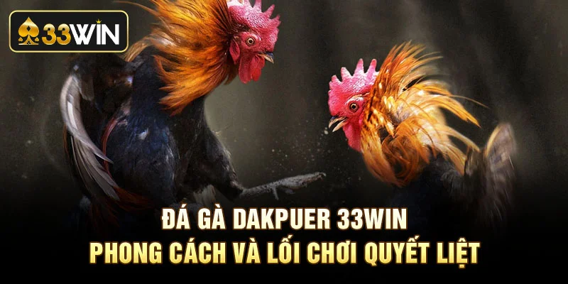 Đá Gà Dakpuer 33Win - Phong Cách Và Lối Chơi Quyết Liệt