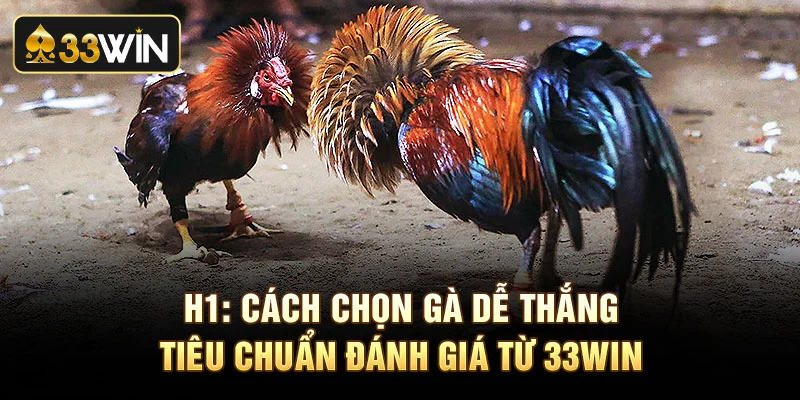 Cách Chọn Gà Dễ Thắng - Tiêu Chuẩn Đánh Giá Từ 33Win