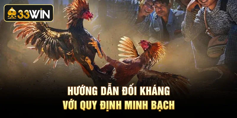 Hướng dẫn đối kháng với quy định minh bạch