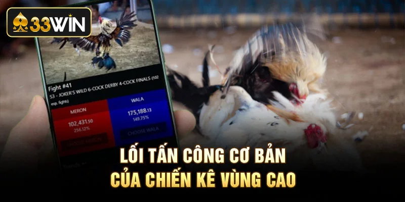 Lối tấn công cơ bản của chiến kê vùng cao