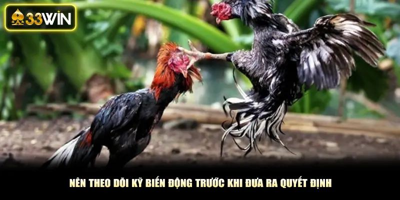 Nên theo dõi kỹ biến động trước khi đưa ra quyết định