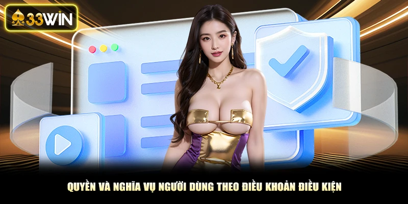 Quyền và nghĩa vụ người dùng theo điều khoản điều kiện