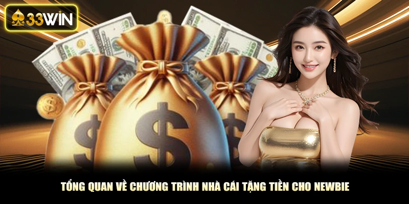 Tổng quan về chương trình nhà cái tặng tiền cho newbie